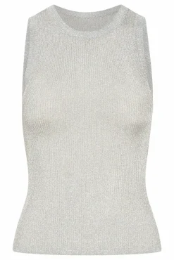 Silvigz Top